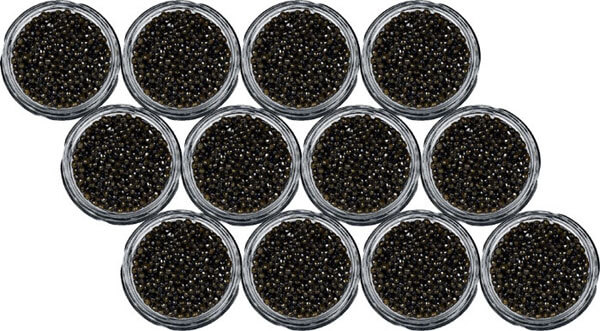 Caviar Beluga 12 frascos 1356g
