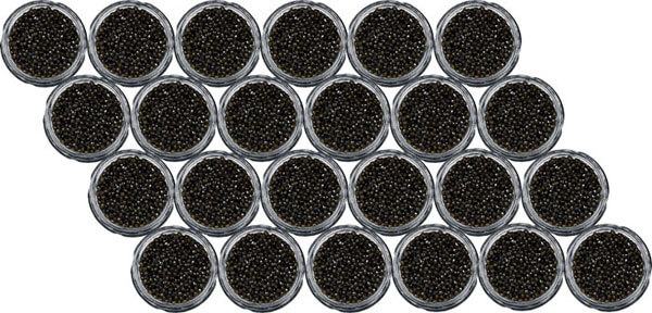 Caviar Beluga 24 frascos 2712g