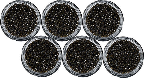 Caviar Beluga 6 frascos 678g