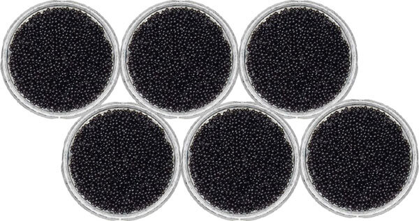 Caviar Osetra 6 frascos 678g
