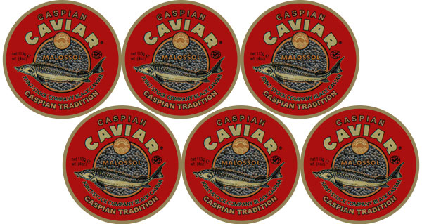 Caviar Sevruga 6 frascos 678g